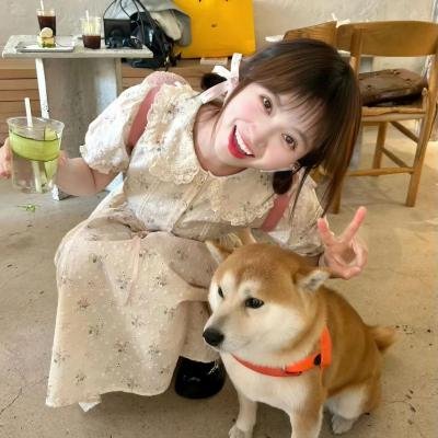 汪汪队立大功之超能救援